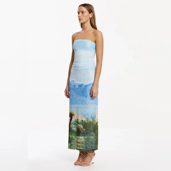 Significant Other Sura Strapless Midi Dress in Arizona Print Size 4 NWT - Picture 2 of 7